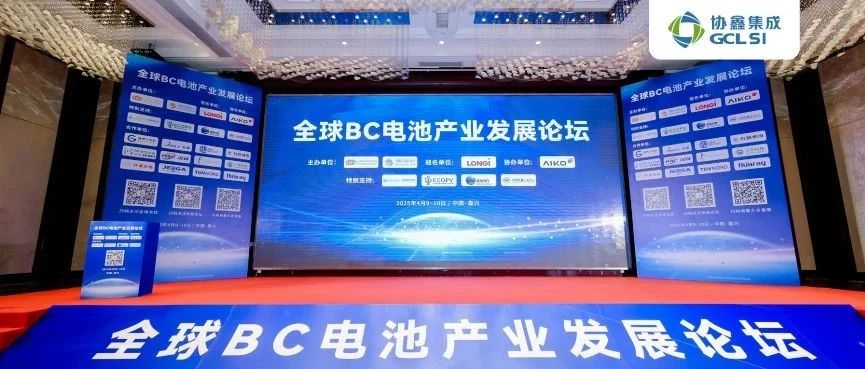 BC领航•碳索未来｜世界杯下单集成出席全球BC电池产业发展论坛